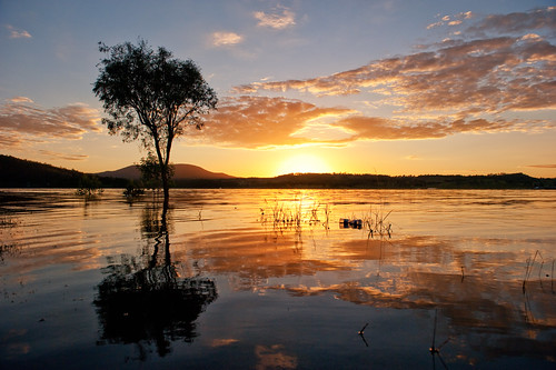 water sunrise reflections nikon australia queensland ripples southeastqueensland scenicrim moogerah lakemoogerah d700