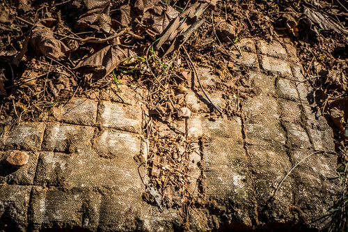 Brick Remnants on Swamp Rabbit Trail-001