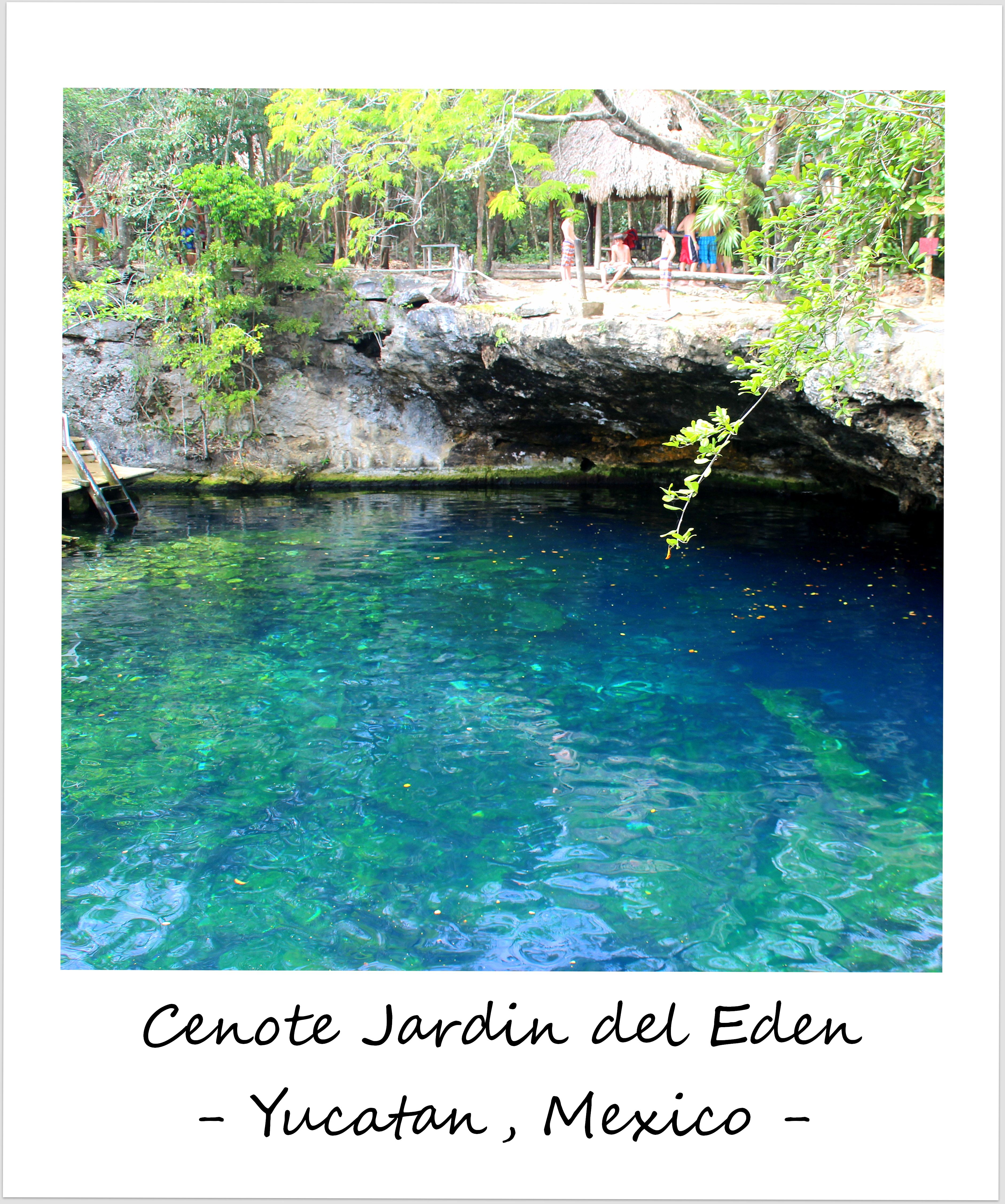 polaroid of the week mexico 2016 yucatan cenote jardin del eden
