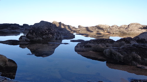 durban umhlanga rocks rock pool pools outdoors nature travel sea coast coastline coastal water ocean southafrica south africa pond