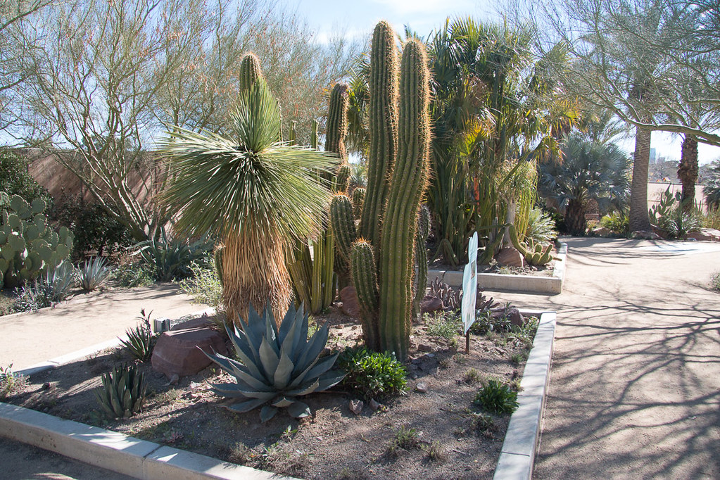 Springs Preserve Botanical Gardens