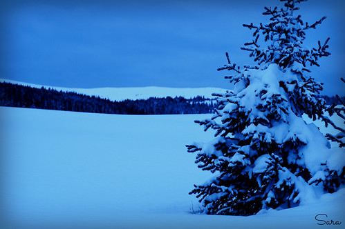 winter mountain snow cold pine landscape colorado vail flickrawards5