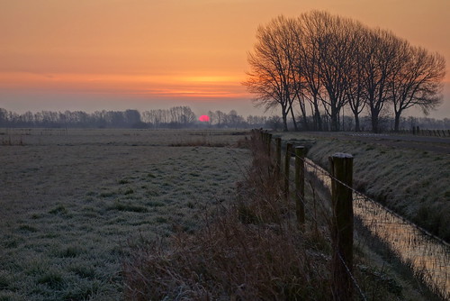 morning trees winter sky sun cold netherlands field clouds sunrise landscape dawn outdoor polder bloodred