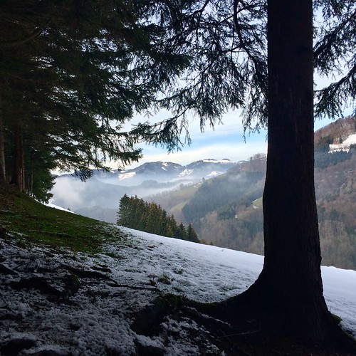 winter austria hiking niederösterreich iphone loweraustria mostviertel niederšsterreich iphone5s stantonanderjesnitz 20160305winterwanderungsanktanton