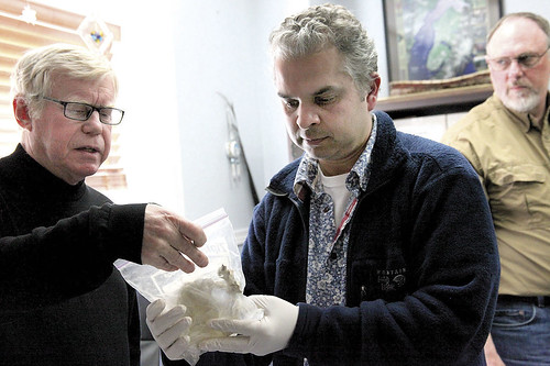Kenai Peninsula College professor Dr. Alan Boraas and Dr. Ripan Malhi examine ancient human remains in an office at the Kenaitze Indian Tribe in May. Former state archaeologist Dave McMahan stands at right.