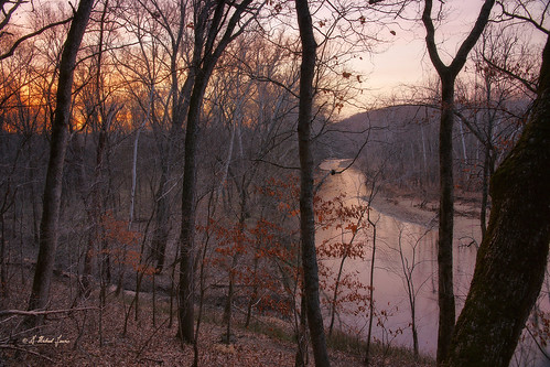 morning trees light orange reflection nature forest sunrise river stream view outdoor hill missouri ozarks