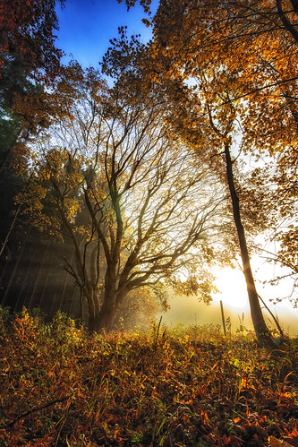 morning autumn nature misty clouds germany landscape deutschland nebel outdoor herbst natur wolken alb landschaft wandern wanderung badenwürttemberg swabianalb burghohenzollern albtrauf schwäbschealb