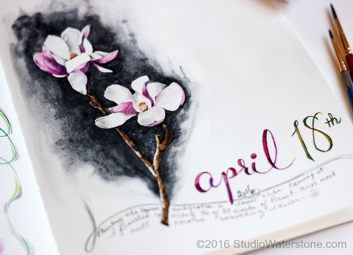 Sketchbook: Magnolia 4/18/16