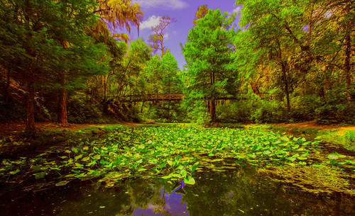 statepark photoshop us pond unitedstates florida palatka ravinegardens