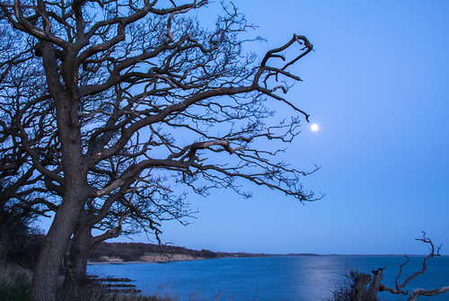 blue moon reflection beach denmark coast hour korsør