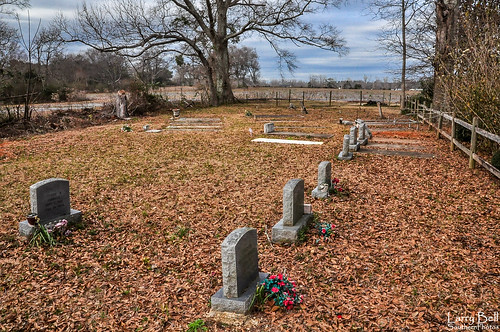 cemetery mississippi lucedale georgecounty larrybell larebel taylorcemetery larebell