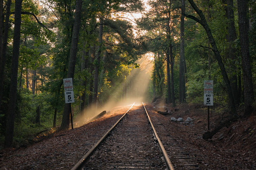 park morning trees atlanta light sign sunrise georgia outdoors morninglight us triangle unitedstates walk atl tracks trail signage rails end rays stonemountain begin