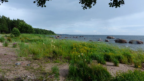 sea summer finland landscape geotagged july balticsea shore fin seashore archipelago 2015 kaunissaari pyhtää kymenlaakso pyttis 201507 fagerö 20150731 geo:lat=6035124327 geo:lon=2676136493