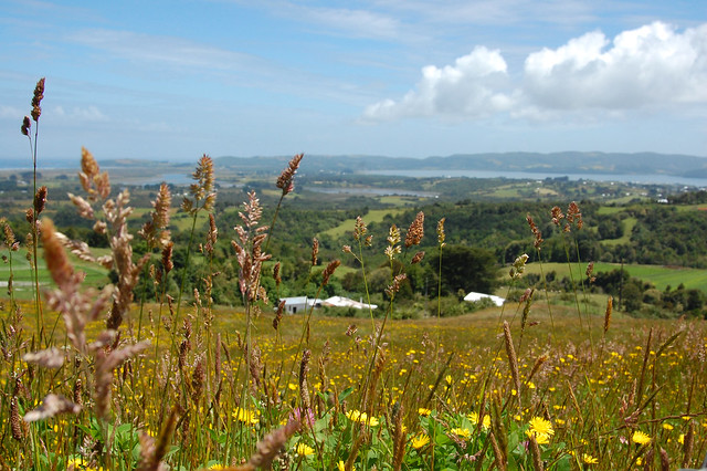 Fields of Chiloé, Chile