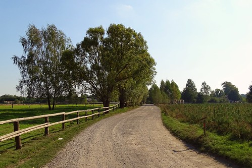 road trees summer green nature fence landscape countryside view path poland polska lodzkie łódzkie
