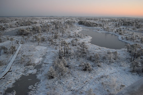 morning winter sunset panorama sunrise landscape december natural latvia swamp marsh bog moorland latvija purvs ķemeru