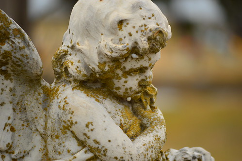 cemetery angel texas tx snail snails delrio westlawncemetery