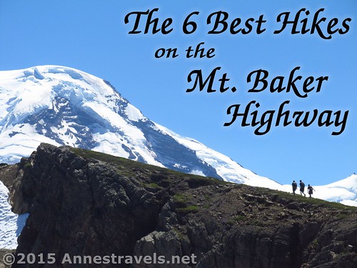 The 6 Best Hikes (in my opinion!) on the Mt. Baker Highway. Here we walk along Skyline Divide with Mt. Baker as our backdrop. Mt. Baker Wilderness, Washington