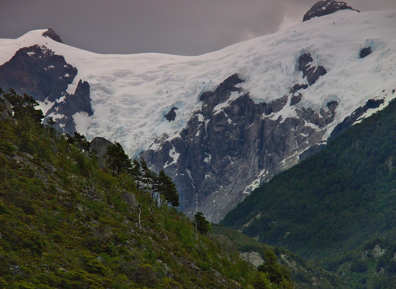 Lago y glaciar Leones (Campo patagónico de Hielo Norte) - Por el sur del mundo. CHILE (12)