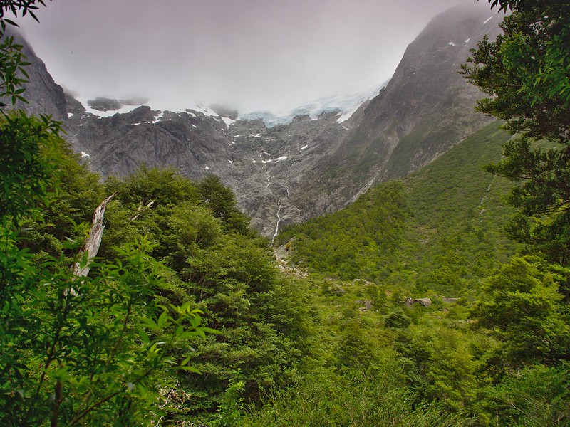 Ruta Austral: De Puerto Aysén a Puyuhuapi. Puerto Cisnes. Bosque encantado - Por el sur del mundo. CHILE (17)
