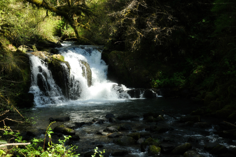 McDowell Creek Falls (10) @ Mt. Hope Chronicles
