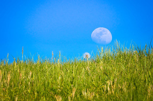 above blue sky moon detail green nature field grass outdoors rising us spring day unitedstates dandelion westvirginia rectangle gibbous lavalette