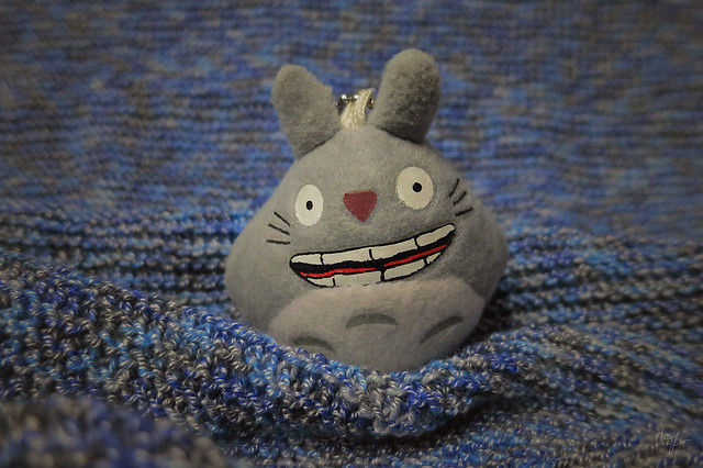 Day#104: totoro is not afraid of cold weather