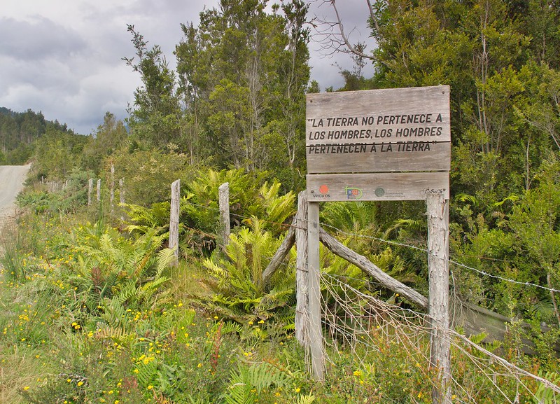 Ruta Austral: De Puerto Varas a Hornopirén y Parque Nacional del Alerce Andino - Por el sur del mundo. CHILE (4)