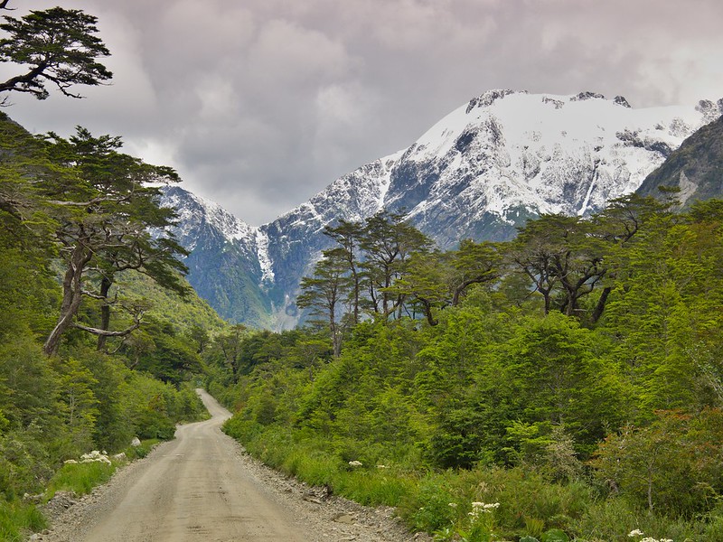 Ruta Austral: De La Junta a Puerto Aysén - Por el sur del mundo. CHILE (21)