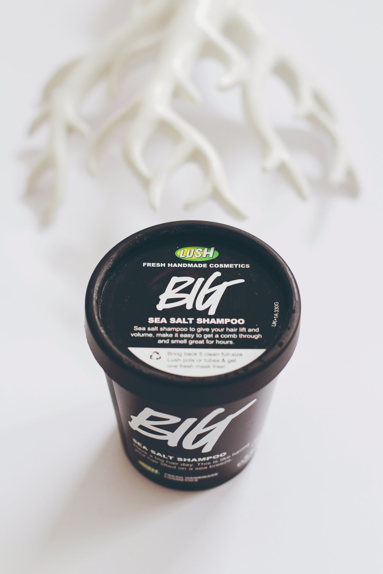 LUSH: My Top 5 Must-Haves