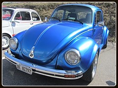 VW Beetle 1303