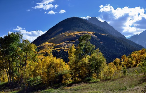 trees mountains nature colorado unitedstates meadow evergreen portfolio aspen day6 maroonbells yellowleaves pyramidpeak whiterivernationalforest project365 colorefexpro grassymeadow lookingsw elkmountains mountainsindistance absolutelystunningscapes blueskieswithclouds nikond800e mountainsoffindistance capturenx2edited hillsideoftrees