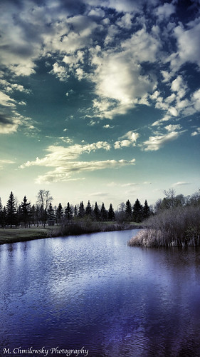 trees sky reflection water beautiful grass clouds branches country bluewater bluesky manitoba stunning steinbach beautifulsky winnipegphotographer countryphotographer mchmilowskyphotography