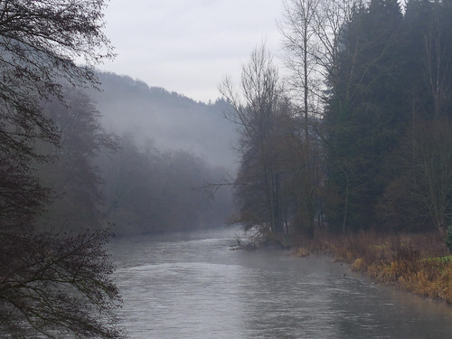 leica mist water fog river belgium ardennes chiny lasemois leicadlux6 dlux6