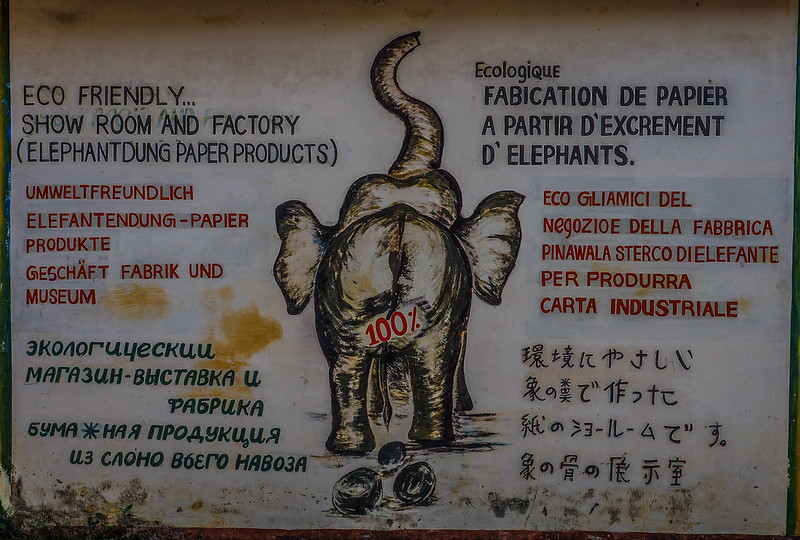 P4193382 Vagamundos 16 Sri Lanka Orfanato Elefantes Pinnawala