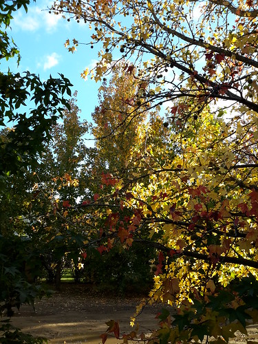 autumn fall garden jardin otoño
