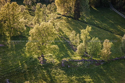 3 natur sverige träd åker swe västragötaland flygfoto blidsberg hållestorp