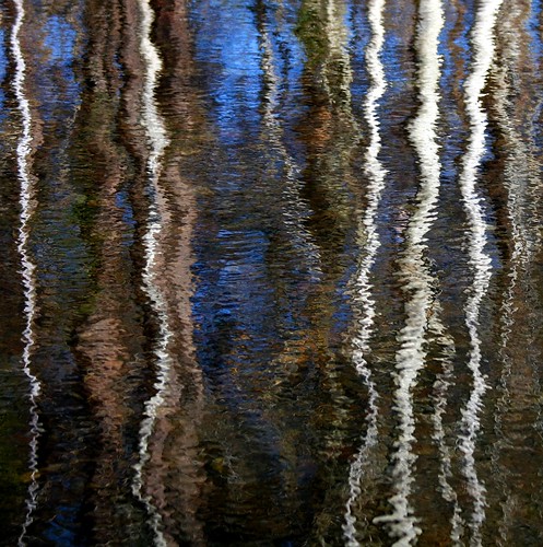 trees abstract reflection nature water