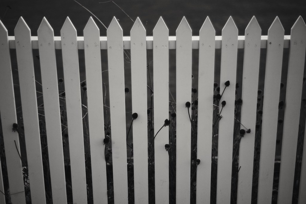 I don't want a white picket fence