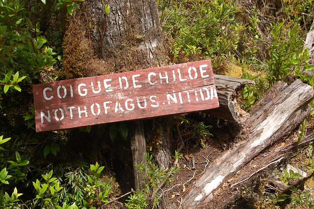 Views of Parque Nacional Chiloé, Cucao, Chiloé, Chile