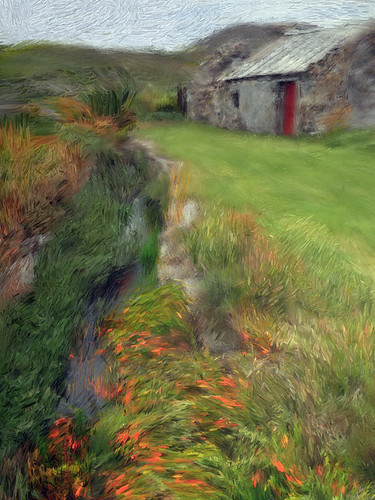 Orange Crocosima in bloom on the Inishowen Peninsula painted in Psyko Paint