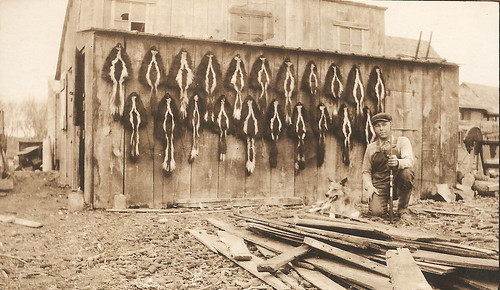 Hessel Wichers With Skunk Hides