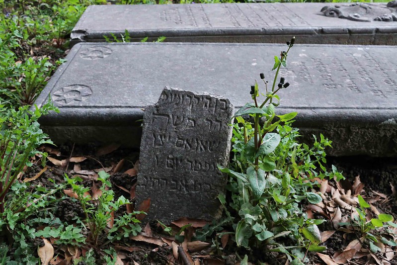 Delhi’s Bandaged Heart – Henry Wadsworth Longfellow, Venice's Ancient Jewish Cemetery