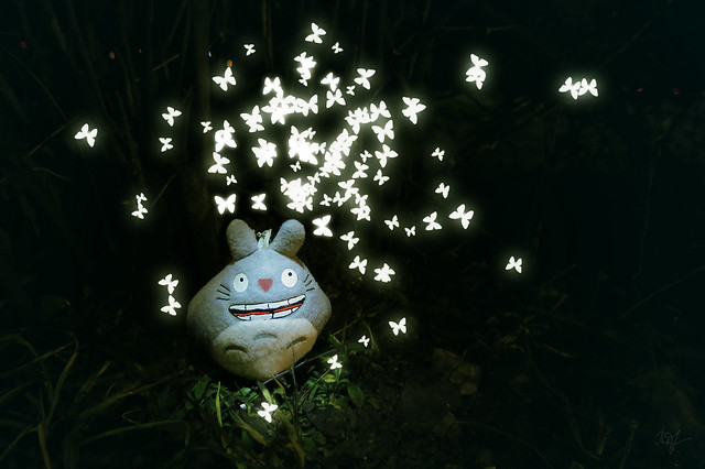 Day #91: totoro meets with wizardly butterflies