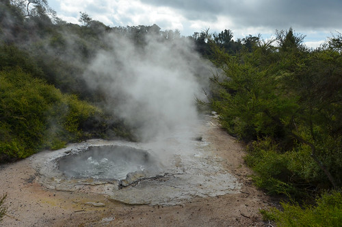 Rotorua Hot Springs