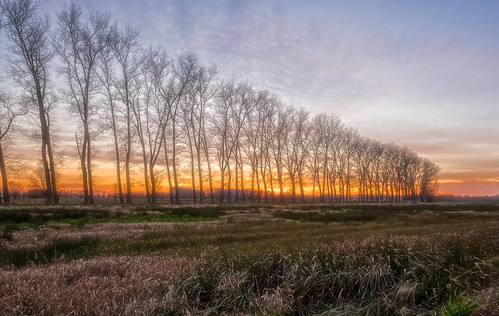 sunset belgium brugge wetlands marshlands asebroeksemeersen