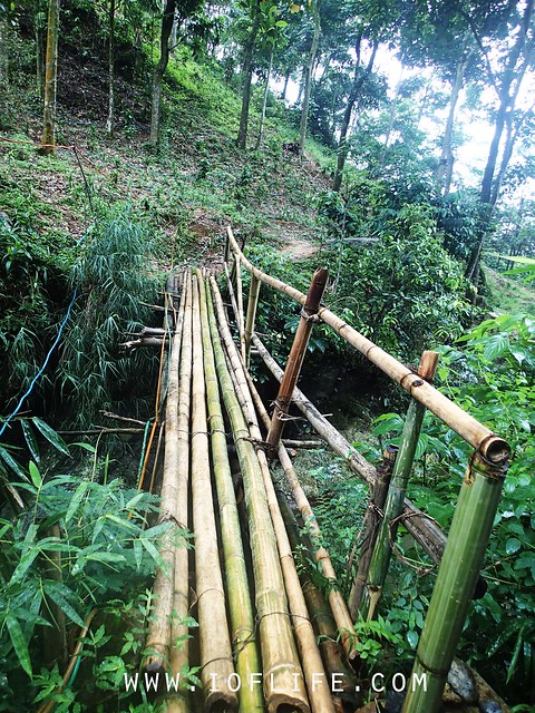 jembatan bambu