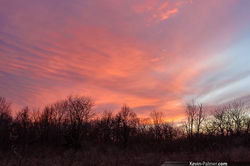 pink trees winter sunset red sky orange cold color clouds evening illinois colorful january kickapoo 2016 kevinpalmer jubileecollegestatepark tamron2470mmf28 nikond750