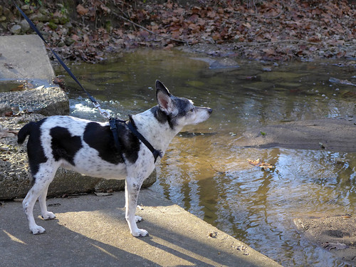 2015-11-19 - Walking at Wallace State Park - 0057 [flickr]