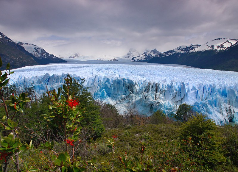 Por la Patagonia ARGENTINA - Blogs of Argentina - Visita inesperada al glaciar con paseo marítimo (nov-2012) (13)